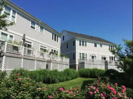 A row of houses with flowers in the foreground.